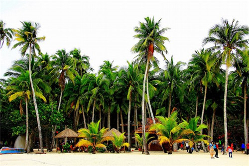 群升棋子湾气候