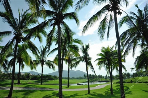 怎么限购后恒大棋子湾房价还天天涨？海南昌江棋子湾楼盘房价多少钱~