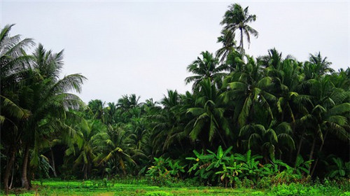 昌江商铺touzi生纸空间怎么样? 昌江商铺touzi生纸空间怎么样?