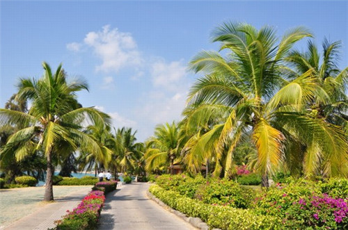 海南希望·棋子湾交通状况介绍及房价走势全面预测~