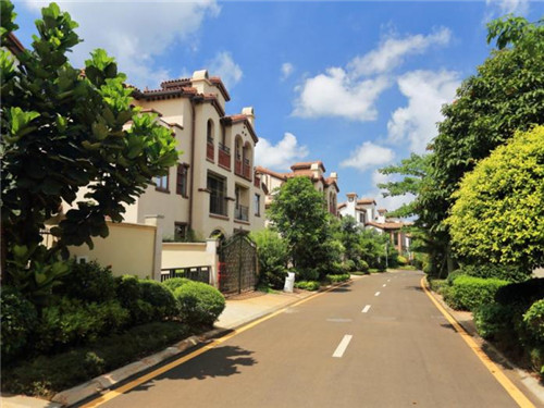 海南大观千舍怎么样？请看大观千舍房价走势图！