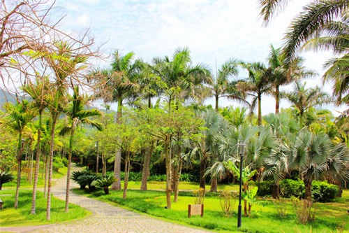 昌江棋子湾房价