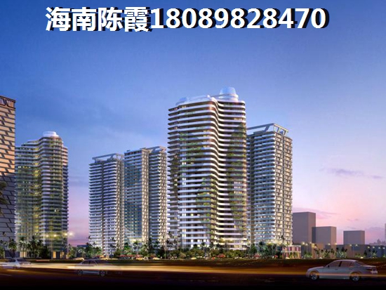 海南新房还有购买的价纸吗？